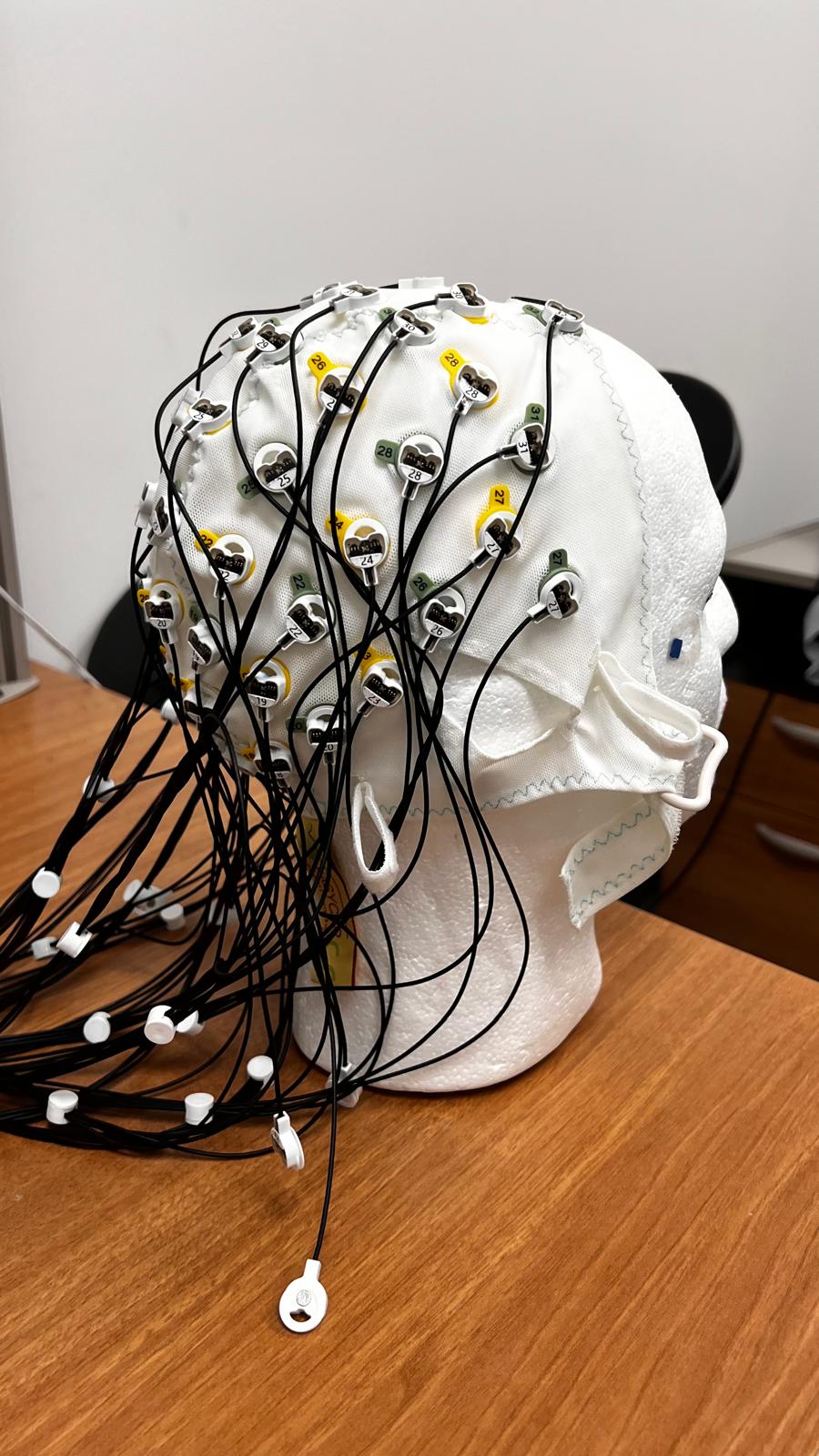 Tête de mannequin équipée d'un bonnet d'électrodes EEG au Laboratoire de Neurosciences Cognitives du Bilinguisme